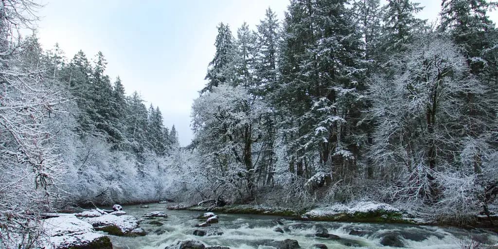 The Calapooia River running clear and shallow over stones between snow-covered banks and bare winter trees.