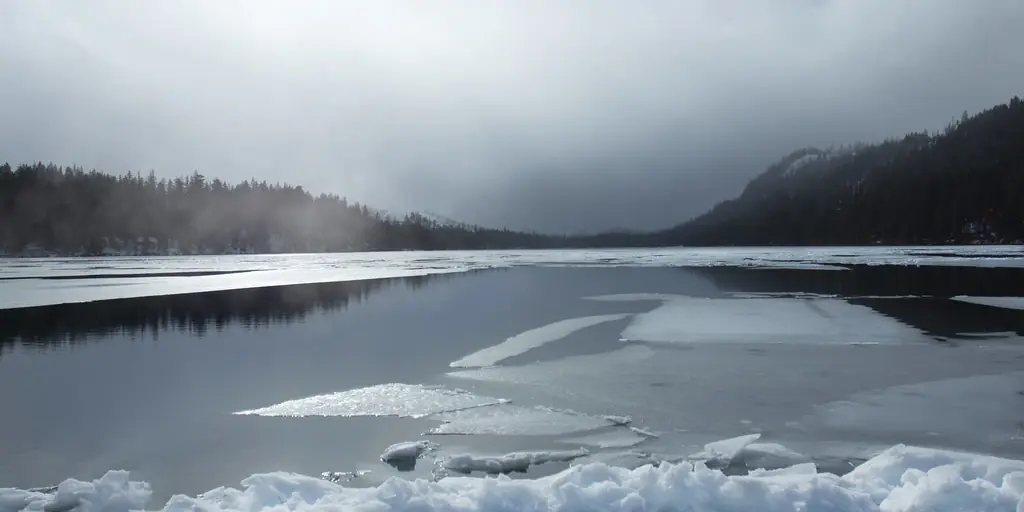 Snow and shelf ice piled along the bank of Suttle Lake in Oregon, with bare trees behind and still water beyond the ice edge.